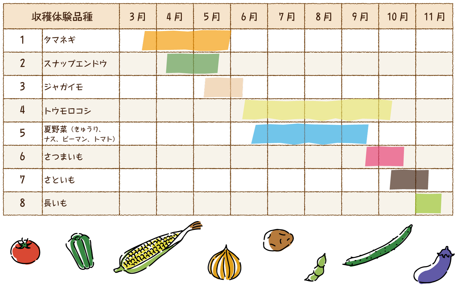 野菜収穫体験年間カレンダー